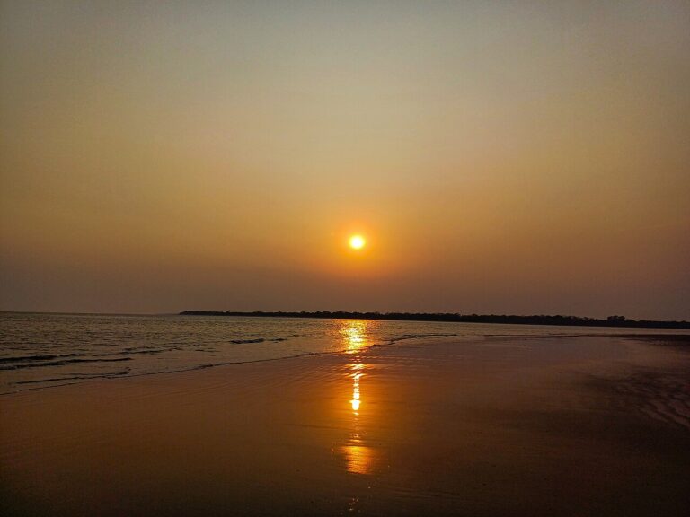 Indian Photographer Gaurav Patil Wins Mangrove Photography Awards 2026